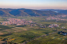 Village - view on the edge of wine yards in Maikammer in the state Rhineland-Palatinate