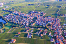 Village view at Kropsbach from the south in Kirrweiler in the state Rhineland-Palatinate, Germany