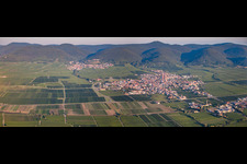 Maikammer in the state Rhineland-Palatinate, Germany from the drone perspective
