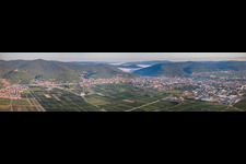 Morning Panorama from the local area and environment in Neustadt an der Weinstrasse in the state Rhineland-Palatinate
