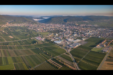 Panorama in Neustadt an der Weinstraße in the state Rhineland-Palatinate, Germany