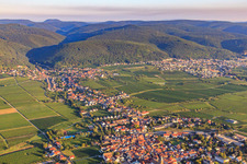 Wine-growing village from the east In the background Gimmeldingen on the edge of the Haardt in the Palatinate Forest in the morning light in the district Mußbach an der Weinstraße in Neustadt an der Weinstraße in the state Rhineland-Palatinate, Germany