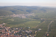District Königsbach in Neustadt an der Weinstraße in the state Rhineland-Palatinate, Germany