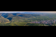 Panorama from the local area and environment in Deidesheim in the state Rhineland-Palatinate