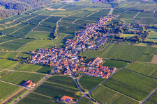 Wine-growing village from the south on the edge of the Haardt in the Palatinate Forest in the morning light in Forst an der Weinstraße in the state Rhineland-Palatinate, Germany