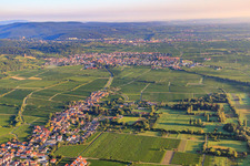 Wine-growing village from the south In the background Wachenheim on the edge of the Haardt in the Palatinate Forest in the morning light in Forst an der Weinstraße in the state Rhineland-Palatinate, Germany