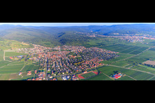 City view from the east in morning light in Wachenheim an der Weinstraße in the state Rhineland-Palatinate, Germany