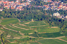 Flag tower Bad Dürkheim above terraced vineyards in the district Seebach in Bad Dürkheim in the state Rhineland-Palatinate, Germany