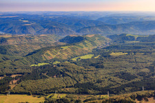 Aerial view of Vineyards in the Heimbachtal in Oberheimbach in the state Rhineland-Palatinate, Germany