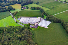 Greenhouses from Gartenbau Schmidt in the district Vinkrath in Grefrath in the state North Rhine-Westphalia, Germany
