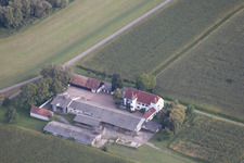 Oblique view of Ludwigsau Estate in the district Maximiliansau in Wörth am Rhein in the state Rhineland-Palatinate, Germany