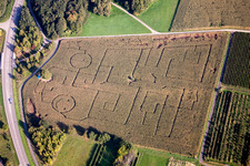 Maze - Labyrinth with the outlines of smileys on a field in Göcklingen in the state Rhineland-Palatinate, Germany