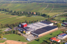 Winegrowers' cooperative Deutsches Weintor eG in Ilbesheim bei Landau in the state Rhineland-Palatinate, Germany