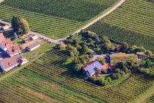 Aerial view of Winemakers under the grass roof in the district Wollmesheim in Landau in der Pfalz in the state Rhineland-Palatinate, Germany
