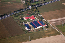 Egg farm in Erlenbach bei Kandel in the state Rhineland-Palatinate, Germany from above