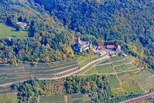 Hornberg Castle above steep vineyards in Neckarzimmern in the state Baden-Wuerttemberg, Germany