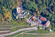 Hornberg Castle at Neckarzimmern in Neckarzimmern in the state Baden-Wuerttemberg, Germany