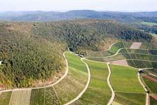 Aerial view of Vineyard paradise on the slope of the Bullenheim mountain in the district Bullenheim in Ippesheim in the state Bavaria, Germany