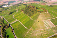 Pyramid-shaped vineyard in the district Hüttenheim in Willanzheim in the state Bavaria, Germany