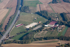Haras in Neewiller-près-Lauterbourg in the state Bas-Rhin, France from above