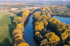 Hagenbacher Altrhein in the district Maximiliansau in Wörth am Rhein in the state Rhineland-Palatinate, Germany