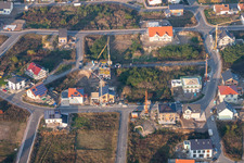 Bird ring in Jockgrim in the state Rhineland-Palatinate, Germany