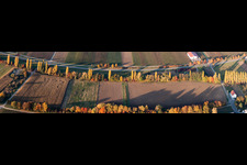 Panoramic perspective Row of trees on a country road on a field edge in Roschbach in the state Rhineland-Palatinate, Germany