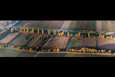 Aerial view of Panoramic perspective Row of trees on a country road on a field edge in Roschbach in the state Rhineland-Palatinate, Germany