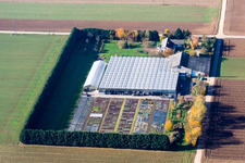 Sudetenhof in Steinweiler in the state Rhineland-Palatinate, Germany from the drone perspective