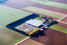Sudetenhof in Steinweiler in the state Rhineland-Palatinate, Germany from a drone
