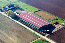 Aerial photograpy of Foal farm in Steinweiler in the state Rhineland-Palatinate, Germany