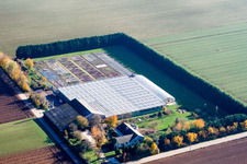 Aerial view of Sudetenhof in Steinweiler in the state Rhineland-Palatinate, Germany