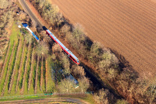 Regional train in Minfeld in the state Rhineland-Palatinate, Germany