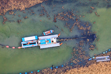 Aerial view of Boat for Old Rhine desilting in Neupotz in the state Rhineland-Palatinate, Germany
