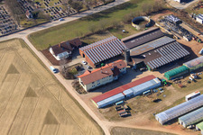 Oblique view of Blacksmith's farm and guesthouse Neupotz in Neupotz in the state Rhineland-Palatinate, Germany