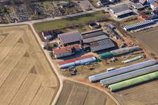Blacksmith's farm and guesthouse Neupotz in Neupotz in the state Rhineland-Palatinate, Germany from above