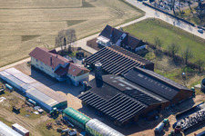 Blacksmith's farm and guesthouse Neupotz in Neupotz in the state Rhineland-Palatinate, Germany out of the air