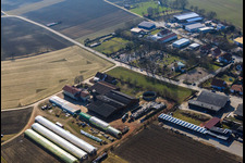 Blacksmith's farm and guesthouse Neupotz in Neupotz in the state Rhineland-Palatinate, Germany seen from above
