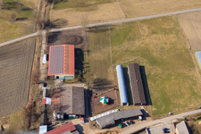 Stables at Oberdorf in Rheinzabern in the state Rhineland-Palatinate, Germany from above
