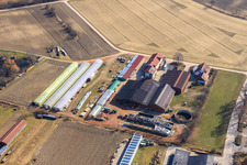 Blacksmith's farm and guesthouse Neupotz in Neupotz in the state Rhineland-Palatinate, Germany from the plane