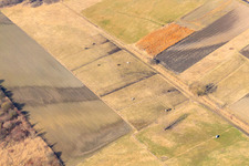 Aerial view of Meadows on the B9 in Rheinzabern in the state Rhineland-Palatinate, Germany