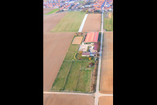 Equestrian center Fohlenhof in Steinweiler in the state Rhineland-Palatinate, Germany seen from a drone