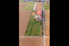 Aerial view of Equestrian center Fohlenhof in Steinweiler in the state Rhineland-Palatinate, Germany