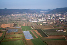 Neustadt an der Weinstraße in the state Rhineland-Palatinate, Germany viewn from the air