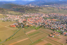 Wine town from the southeast in Wachenheim an der Weinstraße in the state Rhineland-Palatinate, Germany