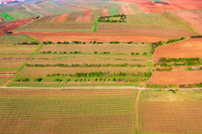Aerial view of At the Goldberg fountain in the district Dalsheim in Flörsheim-Dalsheim in the state Rhineland-Palatinate, Germany