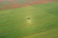 Shadow on field in the district Dalsheim in Flörsheim-Dalsheim in the state Rhineland-Palatinate, Germany