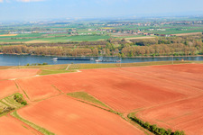 Aerial view of Rhine at Nierstein in Nierstein in the state Rhineland-Palatinate, Germany
