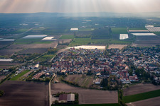 Oblique view of Heuchelheim bei Frankenthal in the state Rhineland-Palatinate, Germany