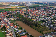 View of the town from the northwest in Heßheim in the state Rhineland-Palatinate, Germany